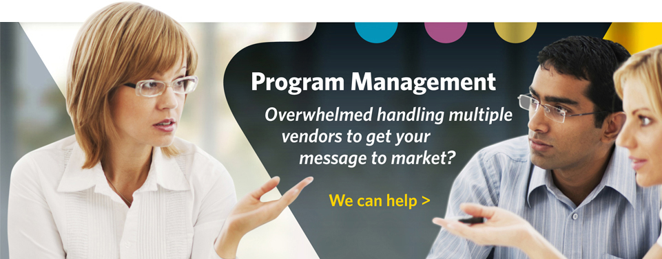 Program Management